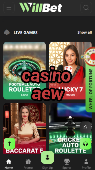 Casino AEW - Best Wrestling-Themed Casino Games-www.bdqngd.com